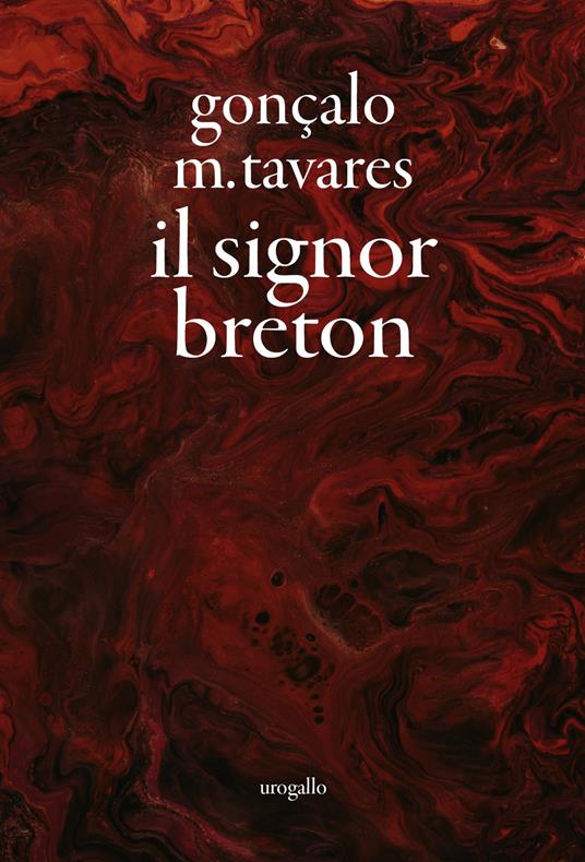 Il signor Breton e l'intervista - Gonçalo M. Tavares - copertina