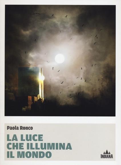 La luce che illumina il mondo - Paola Ronco - copertina