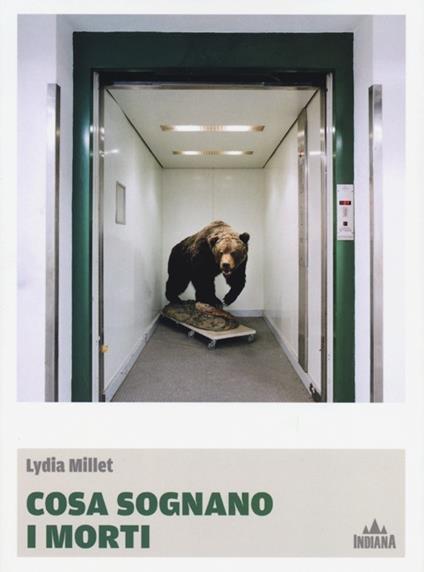 Cosa sognano i morti - Lydia Millet - copertina
