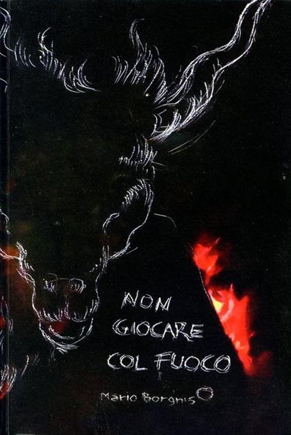Non giocare col fuoco - Mario Borgnis - copertina