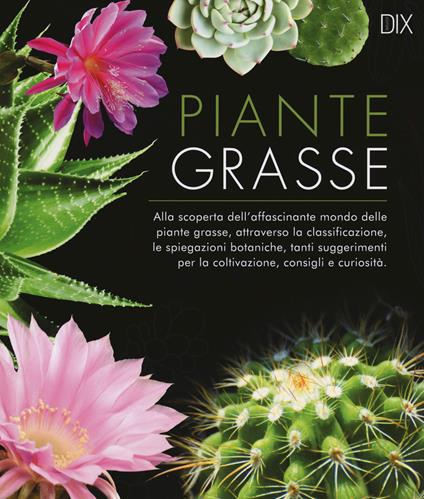 Piante grasse - copertina