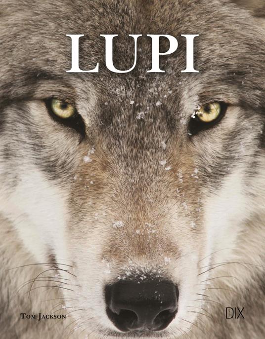 Lupi. Ediz. a colori - Tom Jackson - copertina