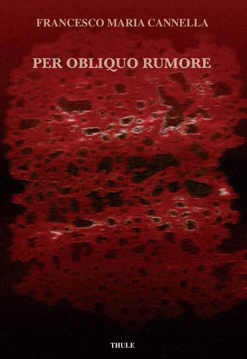 Per obliquo rumore - Francesco Maria Cannella - copertina