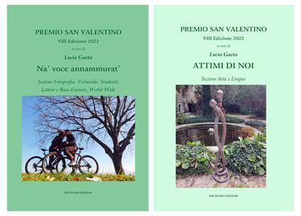 Attimi di noi-Na' voce annammurat'. Premio San Valentino VIII edizione - copertina
