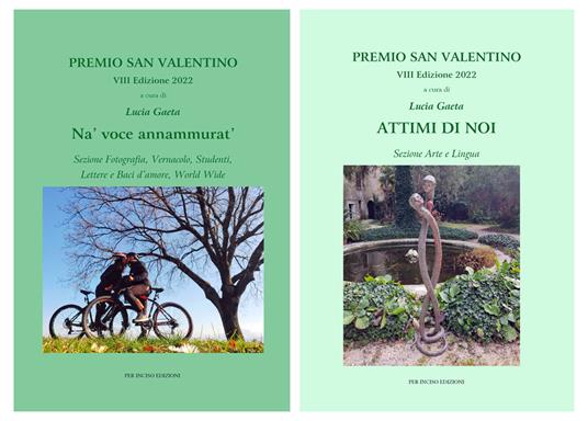 Attimi di noi-Na' voce annammurat'. Premio San Valentino VIII edizione - copertina