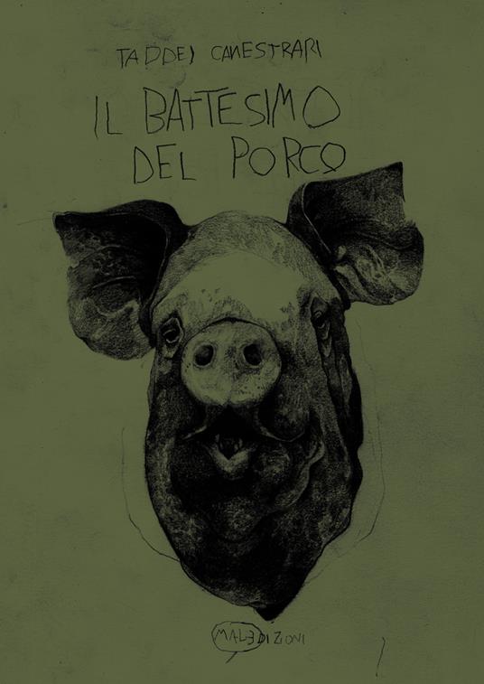 Il battesimo del porco - Marco Taddei,Samuele Canestrari - copertina