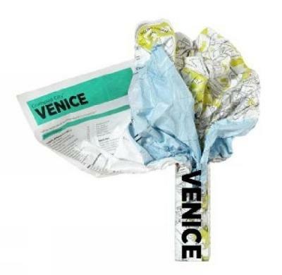 Crumpled city map. Venice - copertina