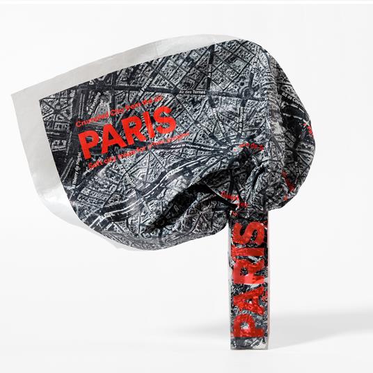 Crumpled city from the air. Paris - copertina