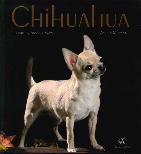 Chihuahua - Amelia Murante - copertina