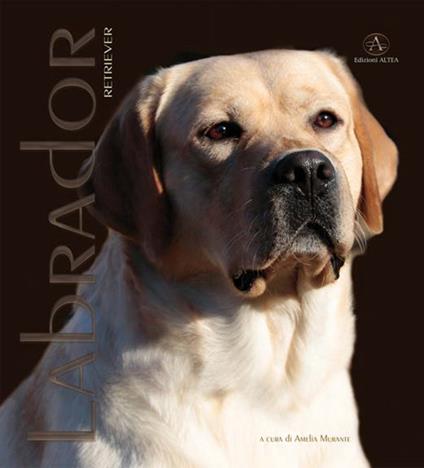 Labrador Retriver. Monografia fotografica. Ediz. illustrata - Amelia Murante - copertina