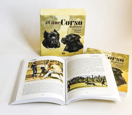 Il cane Corso italiano. Tra passato, presente e futuro - Claudio De Giuliani - copertina