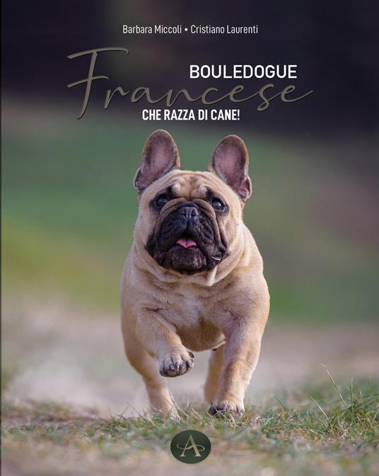 Bouledogue francese. Che razza di cane! - Barbara Miccoli,Cristiano Laurenti - copertina