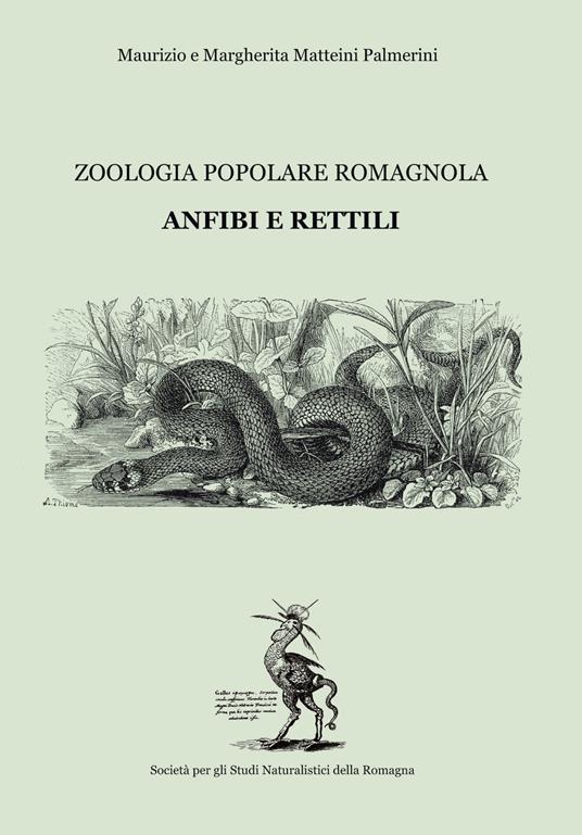 Anfibi e rettili. Zoologia popolare romagnola - Maurizio Matteini Palmieri,Margherita Matteini Palmieri - copertina