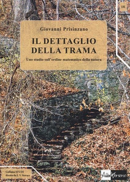 Il dettaglio della trama. Uno studio sull'ordine matematico della natura - Giovanni Prisinzano - copertina