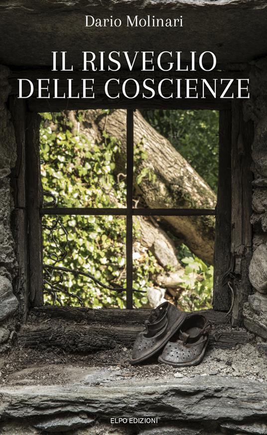 Il risveglio delle coscienze - Dario Molinari - copertina