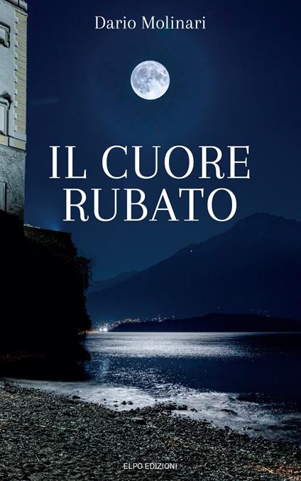 Il cuore rubato - Dario Molinari - copertina