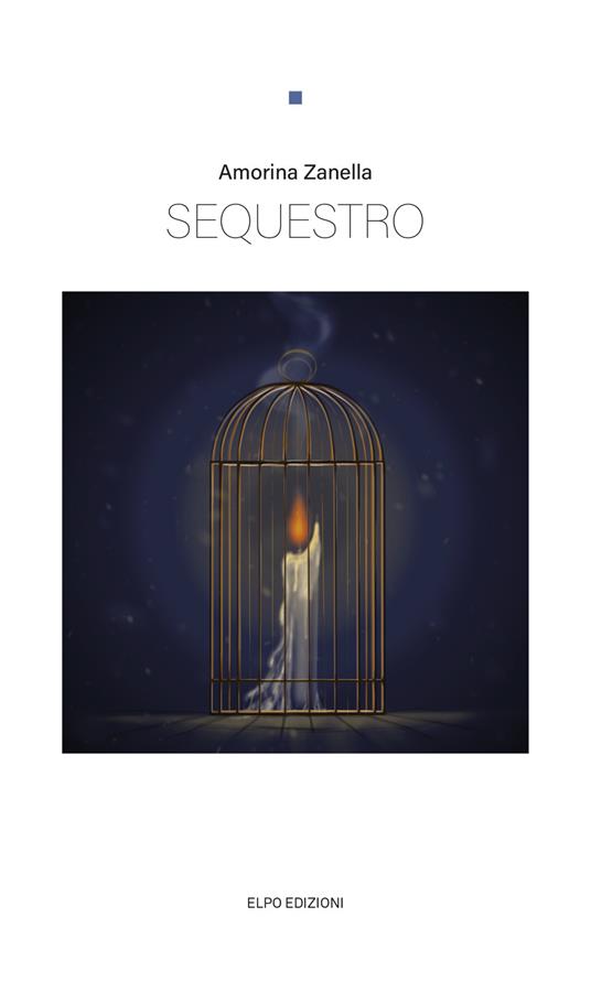 Sequestro - Amorina Zanella - copertina
