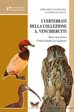 I vertebrati della collezione Antonio Venchierutti Museo naturalistico F. Minà Palumbo di Castelbuono