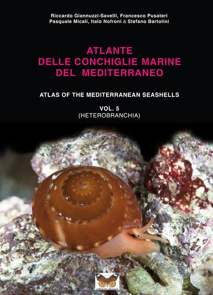 Atlante delle conchiglie marine del Mediterraneo. Ediz. italiana e inglese. Vol. 5 - copertina