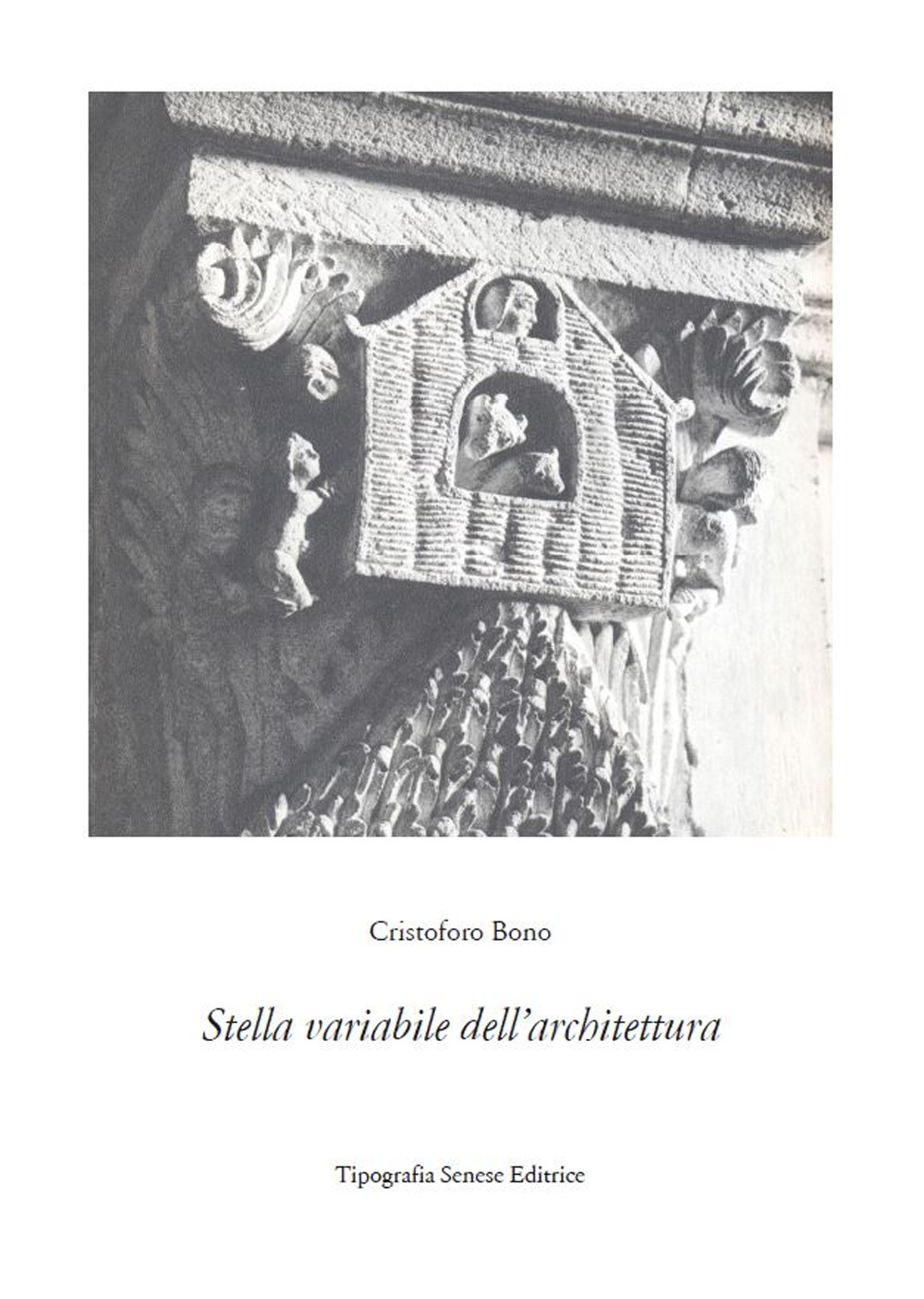 Libraccio