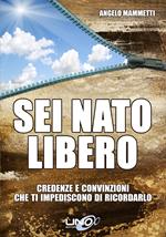 Sei nato libero. Credenze e convinzioni che ti impediscono di ricordarlo