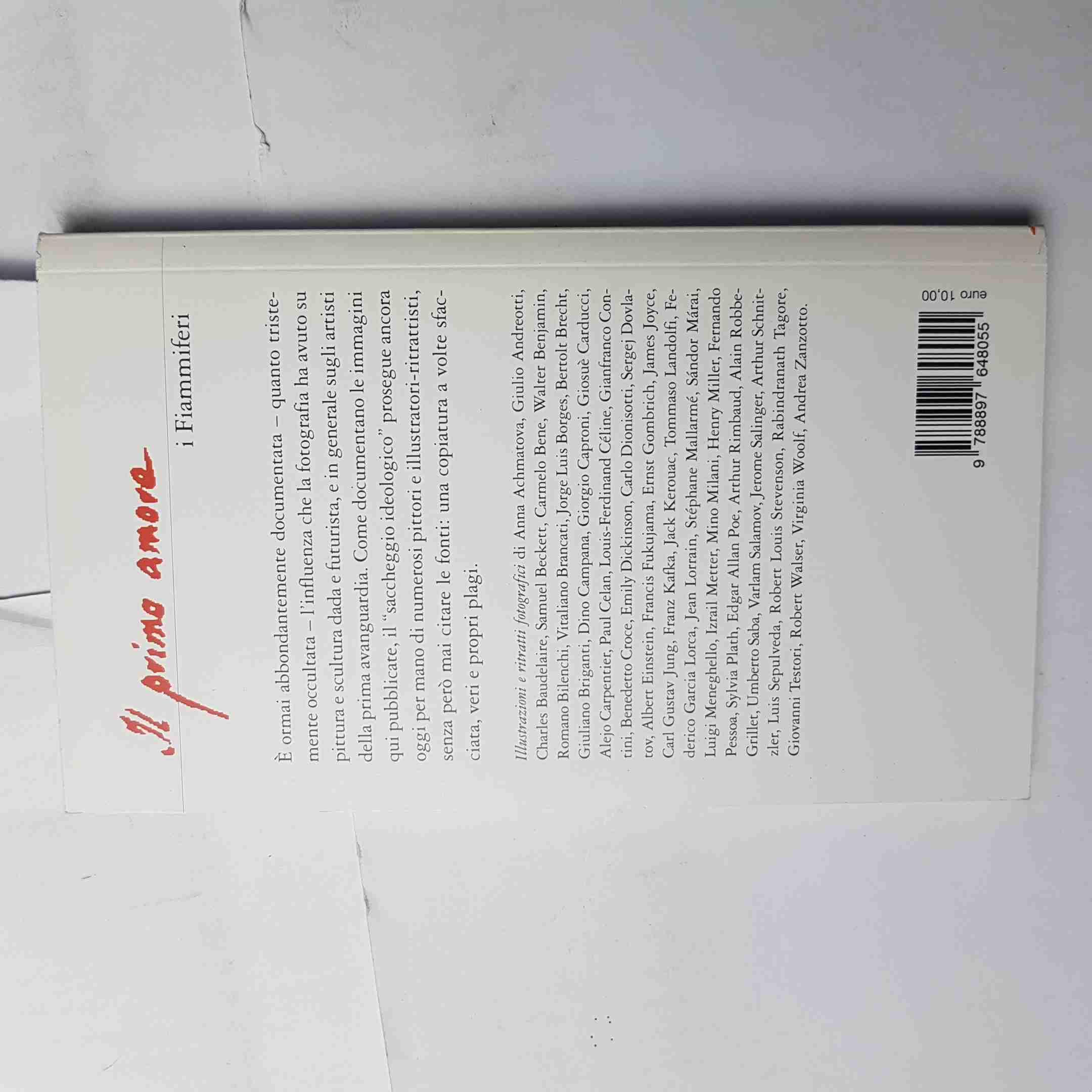 Plagi. Creatività o saccheggio ideologico? Quando pittori e illustratori copiano fotografie