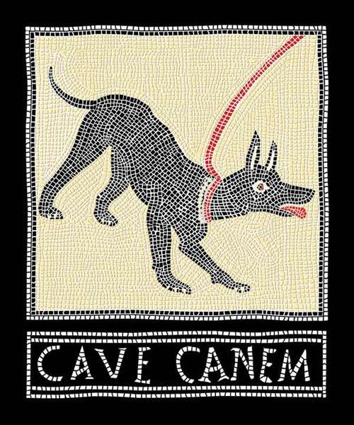 Cave canem. Polaroid lenticolare magnetica. Ediz. italiana e inglese - copertina
