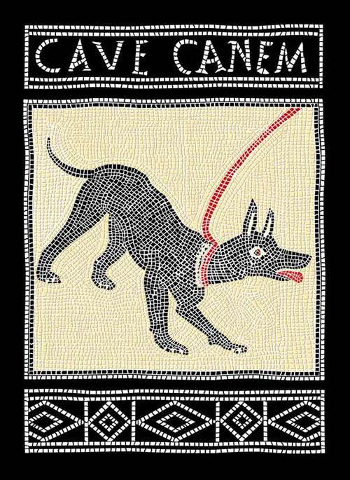 Cave canem. Ediz. italiana e inglese - copertina