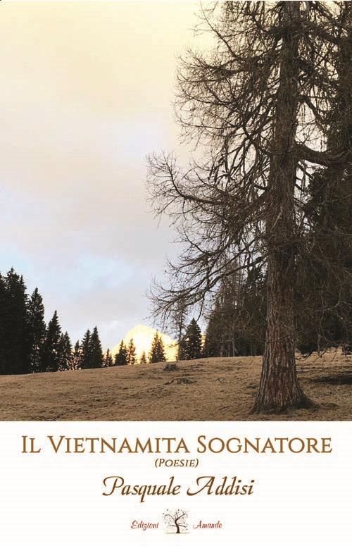 Il vietnamita sognatore - Pasquale Addisi - copertina