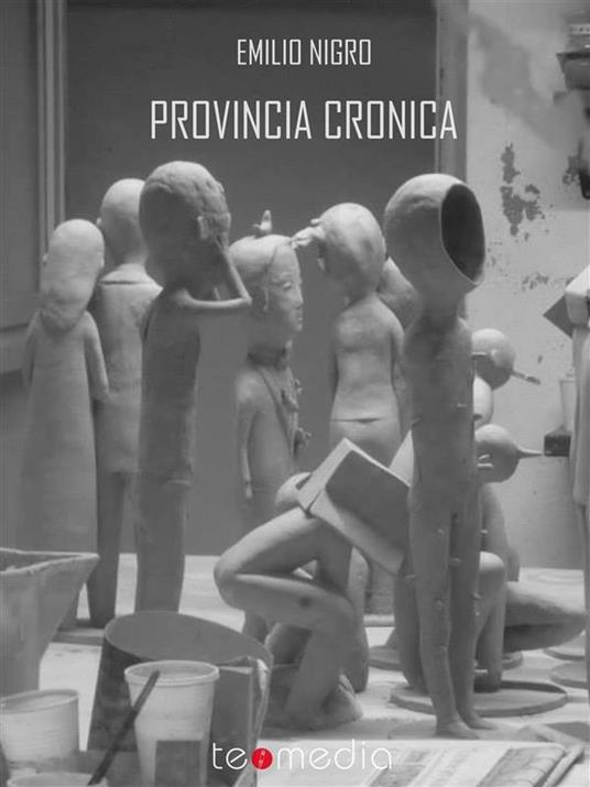 Provincia cronica - Emilio Nigro - ebook
