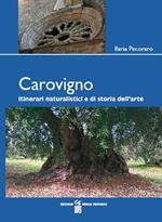 Carovigno. Itinerari naturalistici e di storia dell'arte