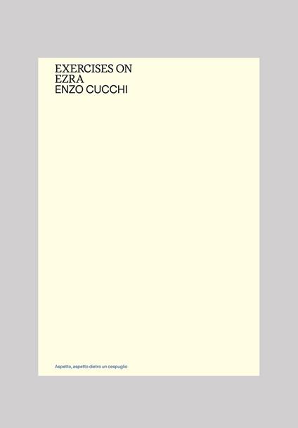 Exercises on Ezra. Ediz. italiana e inglese - Enzo Cucchi - copertina
