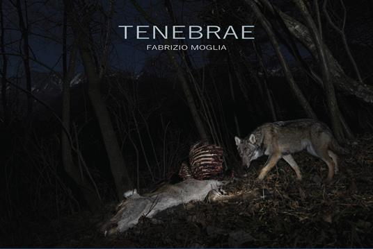 Tenebrae - Fabrizio Moglia - copertina