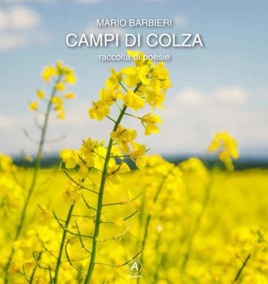 Campi di colza - Mario Barbieri - copertina