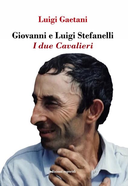 Giovanni e Luigi Stefanelli. I due Cavalieri - Luigi Gaetani - copertina