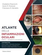 Atlante delle infiammazioni oculari. Ediz. per la scuola. Vol. 1: Segmento anteriore.