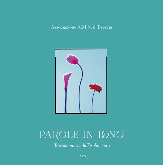 Parole in dono. Testimonianze dall'isolamento - copertina