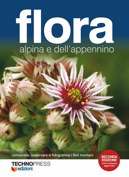 Flora - copertina