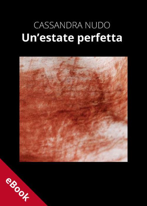 Un' estate perfetta - Cassandra Nudo,A. Vizzino - ebook