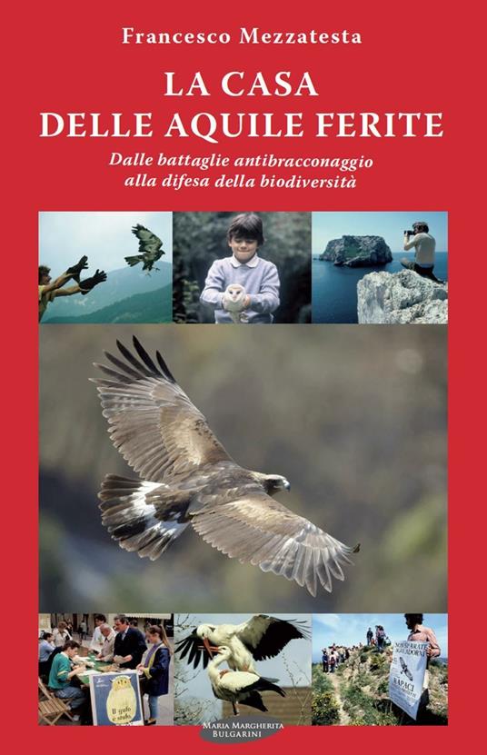 La casa delle aquile ferite. Dalle battaglie antibracconaggio alla difesa della biodiversità - Francesco Mezzatesta - copertina