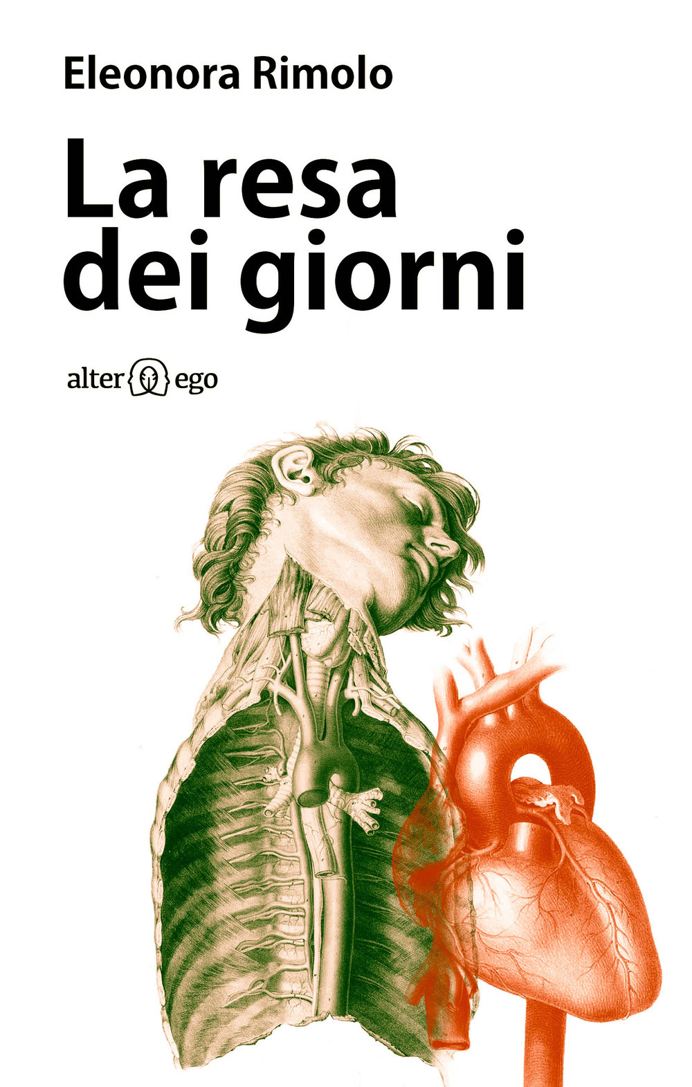Libreria F.lli Montarolo S.n.c.