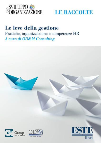 Le leve della gestione. Pratiche, organizzazione e competenze HR - copertina