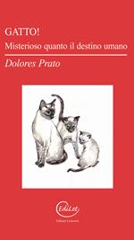 Gatto! Misterioso quanto il destino umano