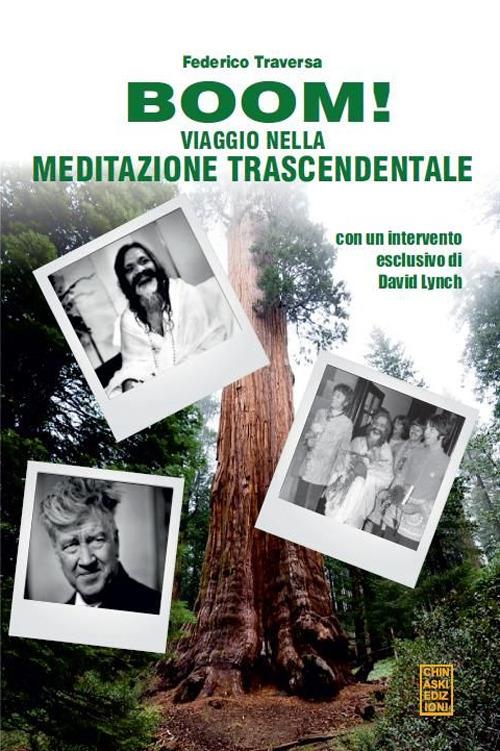 Boom! Viaggio nella meditazione trascendentale - Federico Traversa - copertina