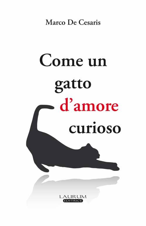 Come un gatto d'amore curioso - Marco De Cesaris - copertina
