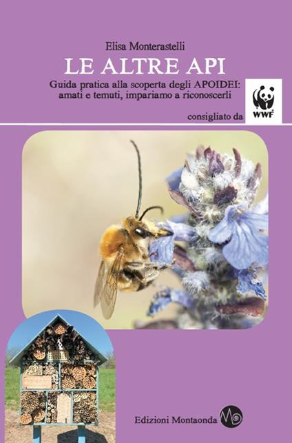 Le altre api. Guida pratica alla scoperta degli apoidei: amati e temuti, impariamo a riconoscerli - Elisa Monterastelli - copertina