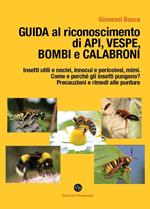 Guida al riconoscimento di api, vespe, bombi e calabroni