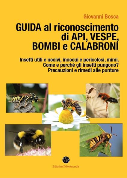 Guida al riconoscimento di api, vespe, bombi e calabroni - Giovanni Bosca - copertina