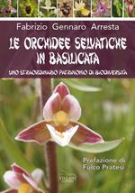 Le orchidee selvatiche in Basilicata
