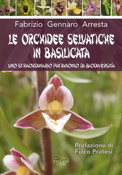 Le orchidee selvatiche in Basilicata - Fabrizio Gennaro Arresta - copertina